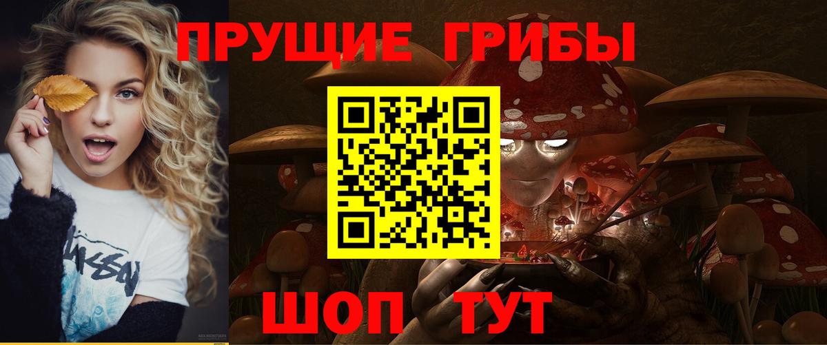 что такое наркотик  Вход с VPN  Батайск  Псилоцибиновые грибы GOLDEN TEACHER  Псилоцибиновые грибы прущие грибы 